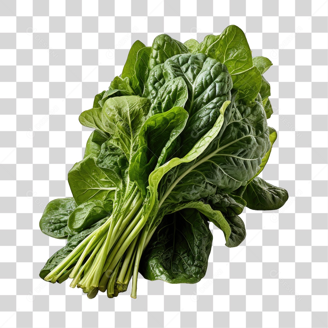 Folhas Vegetais PNG Transparente