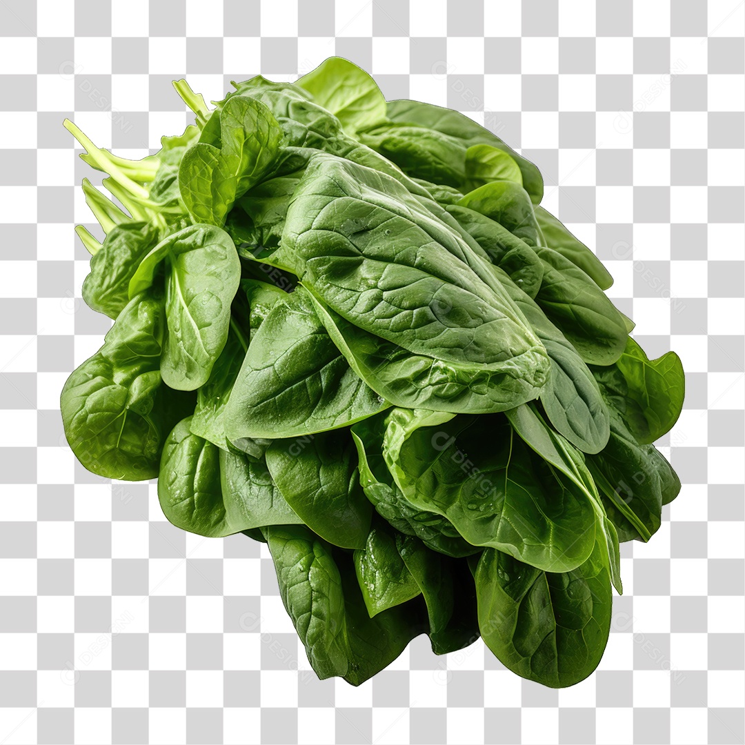 Folhas Vegetais PNG Transparente