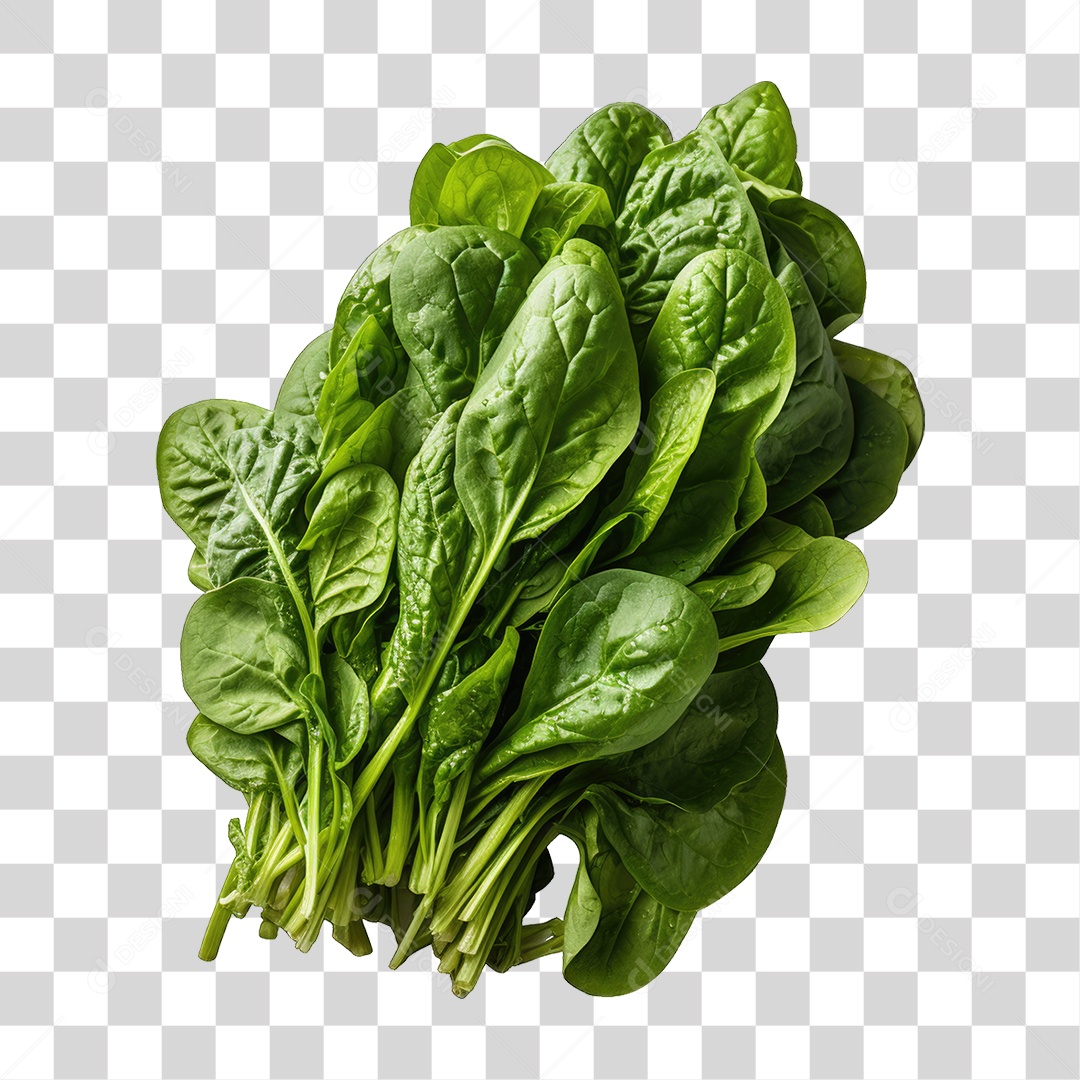 Folhas Vegetais PNG Transparente