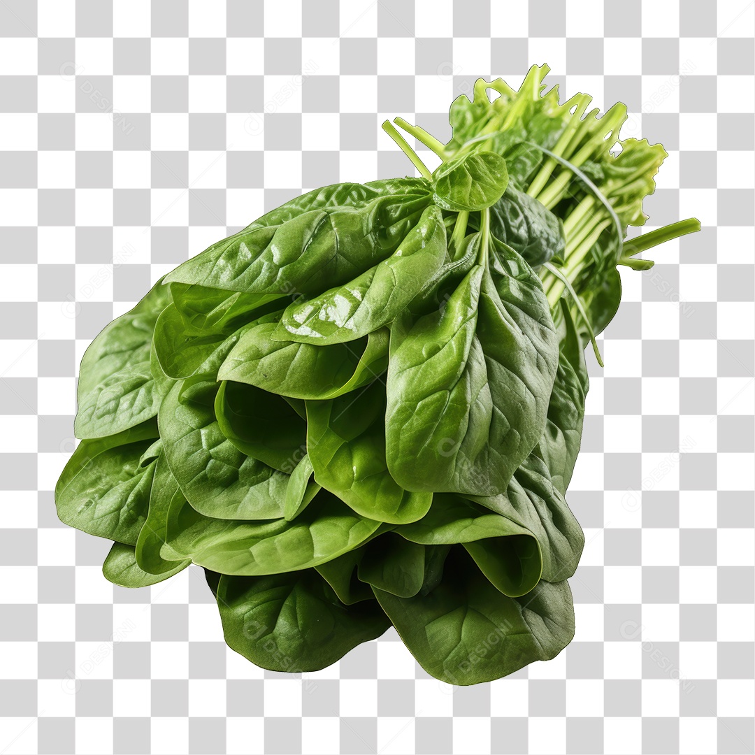 Folhas Vegetais PNG Transparente