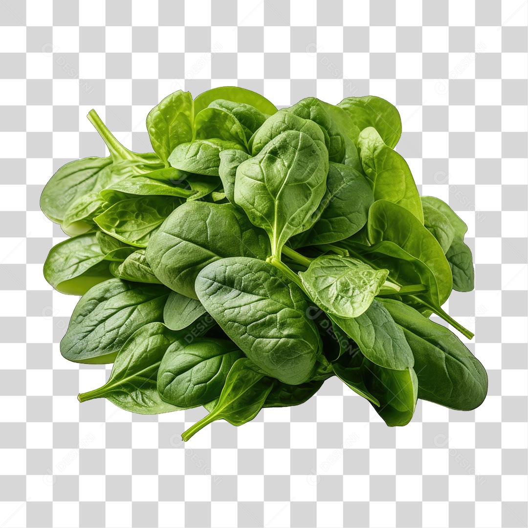 Folhas Vegetais PNG Transparente