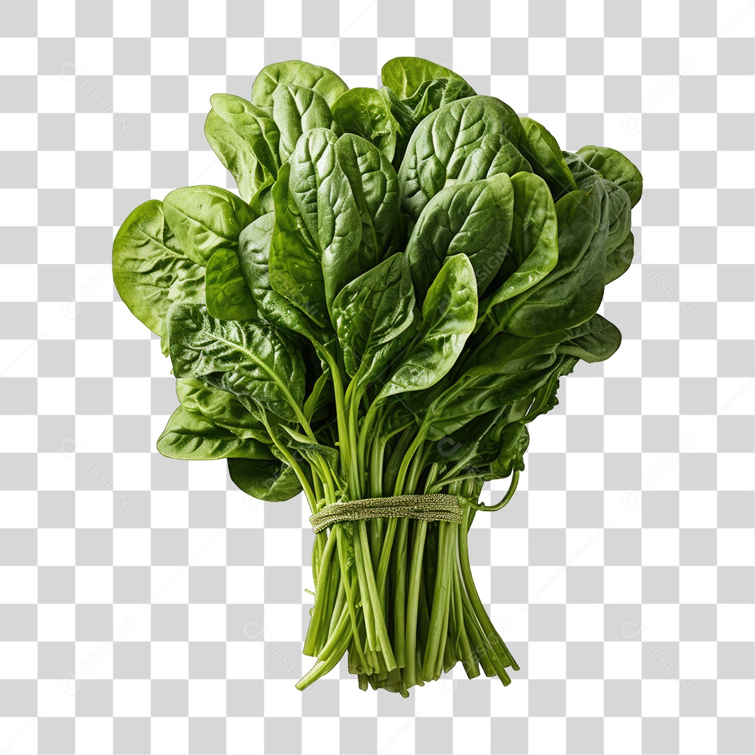 Folhas Vegetais PNG Transparente