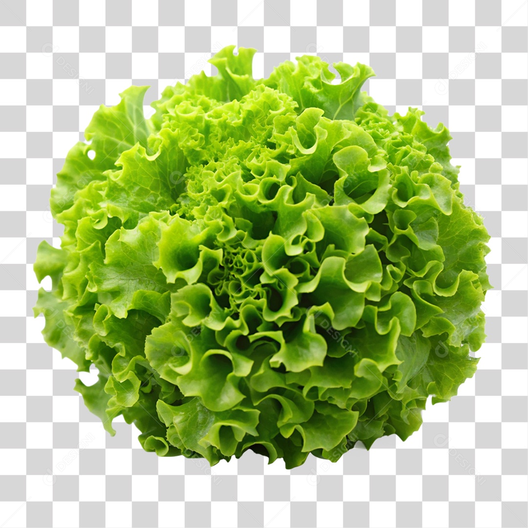 Alface PNG Transparente