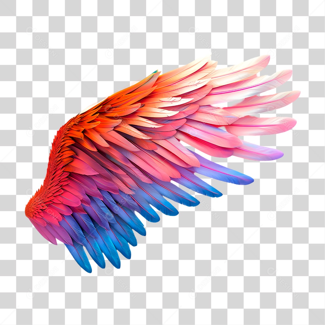 Asas com Penas Colorida PNG Transparente