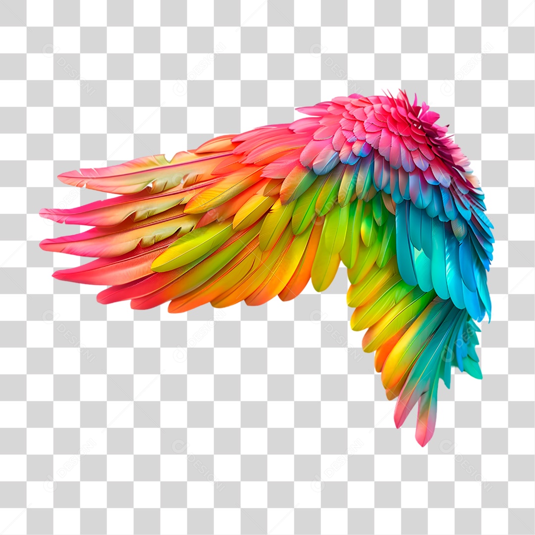 Asas com Penas Colorida PNG Transparente