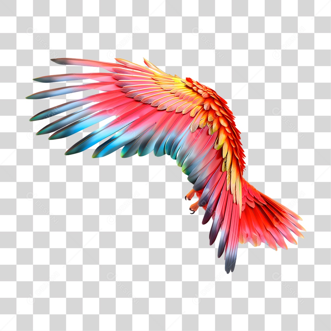 Assas com Penas Colorida PNG Transparente