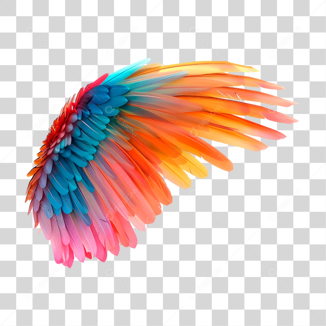 Assas com Penas Colorida PNG Transparente