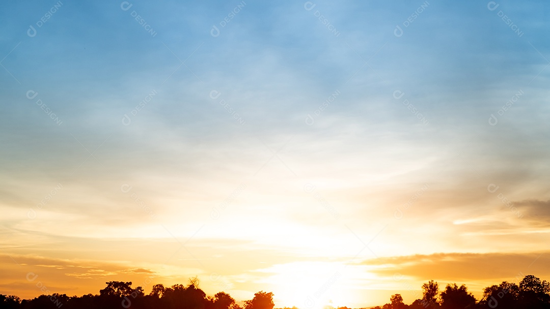 Paisagem linda da natureza