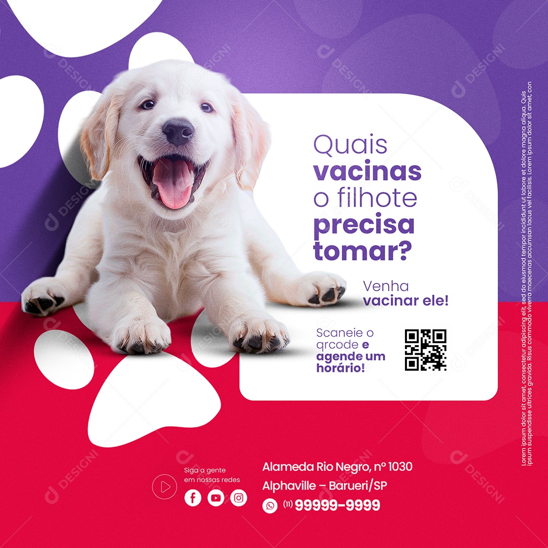 Pet Shop Quais Vacinas o Filhote Precisa Social Media PSD Editável