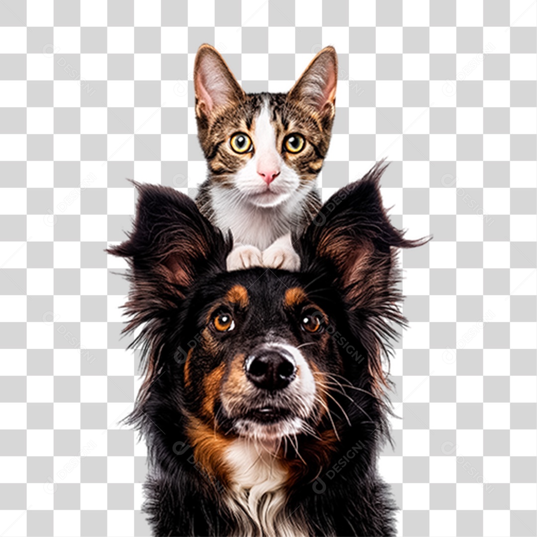 Pets Animal de Estimação Cão e Gato PNG Transparente