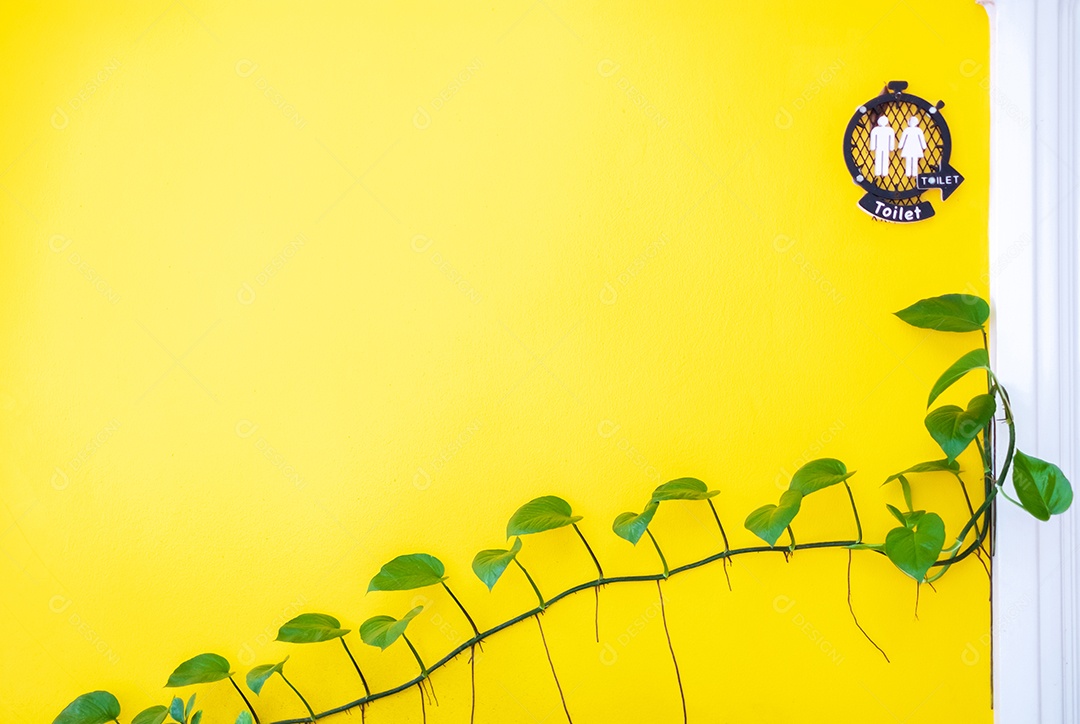 Parede com uma rama verde