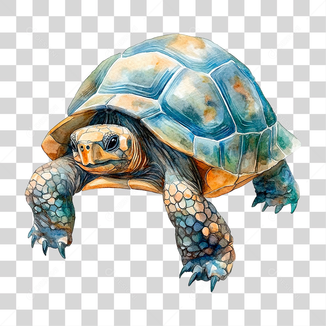 Elemento 3D Tartaruga PNG Transparente