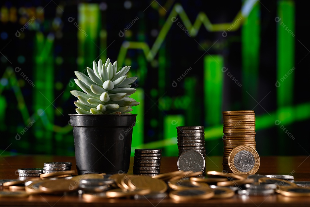 Muitas moedas e uma mini planta suculenta sobre uma mesa