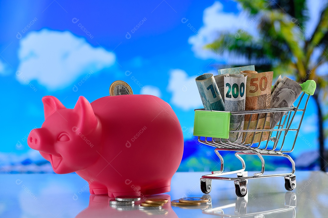 Porco rosa e notas de dinheeiro moedas economia