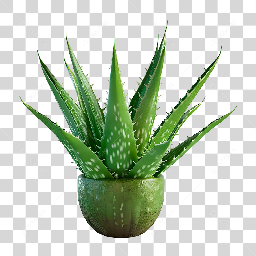 Planta PNG Transparente