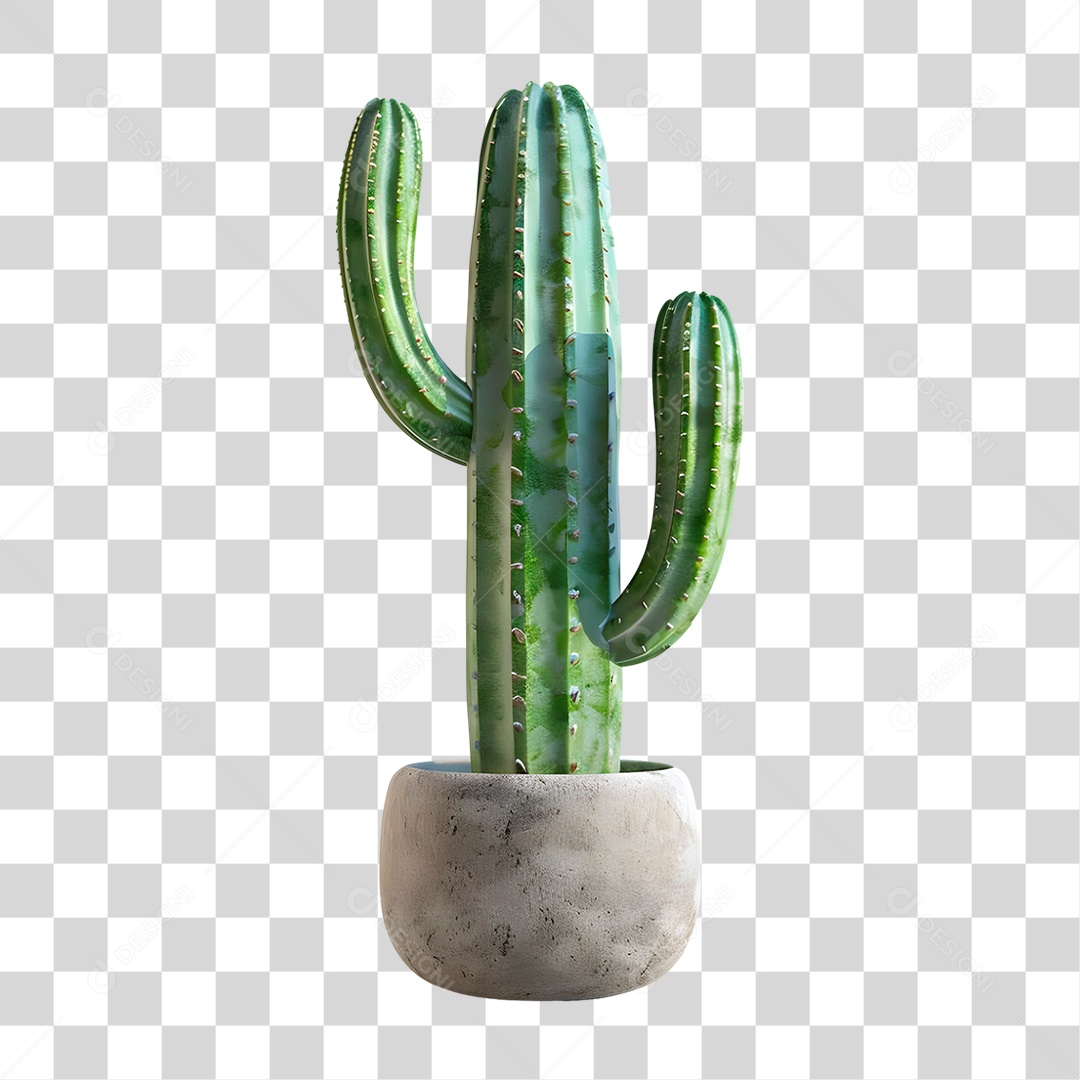 Cacto PNG Transparente