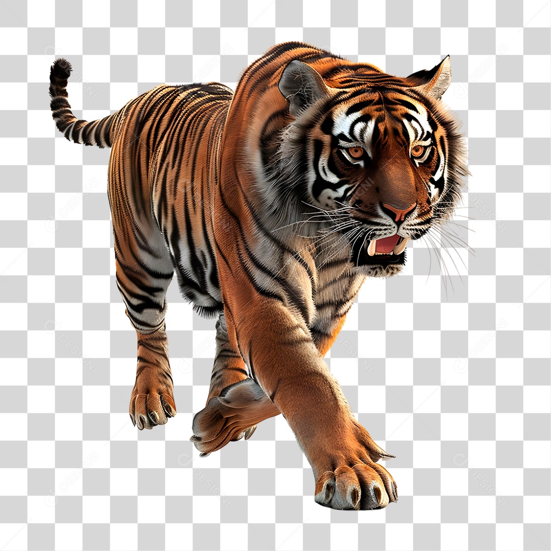 Tigre PNG Transparente