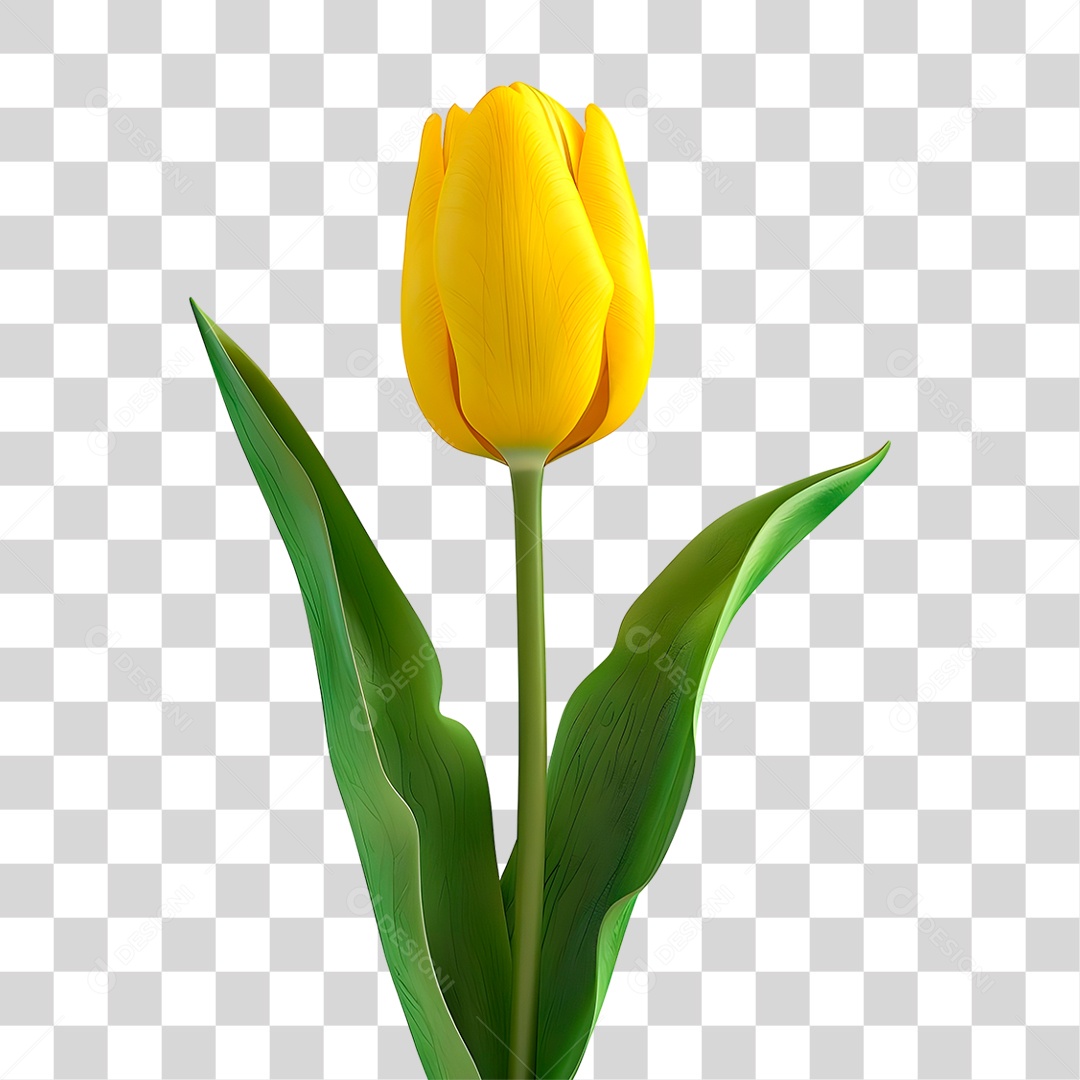 Flor Amarela PNG Transparente