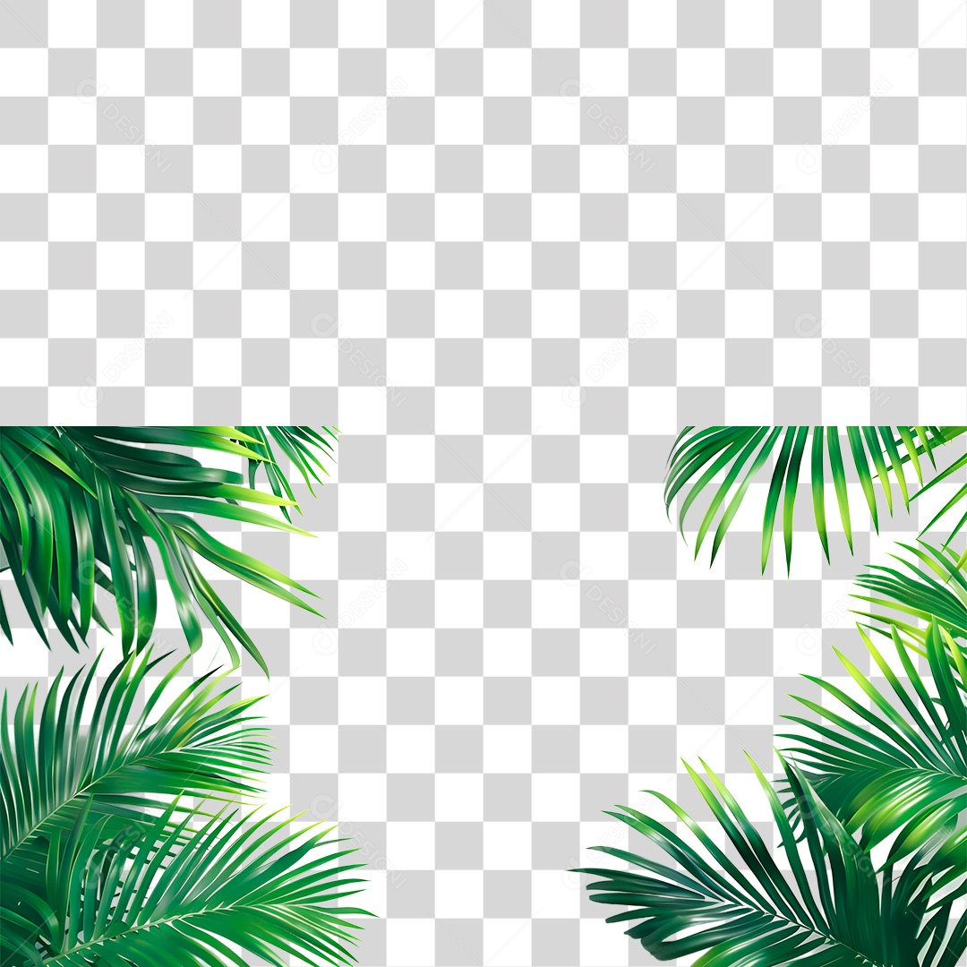 Folhas Verde PNG Transparente