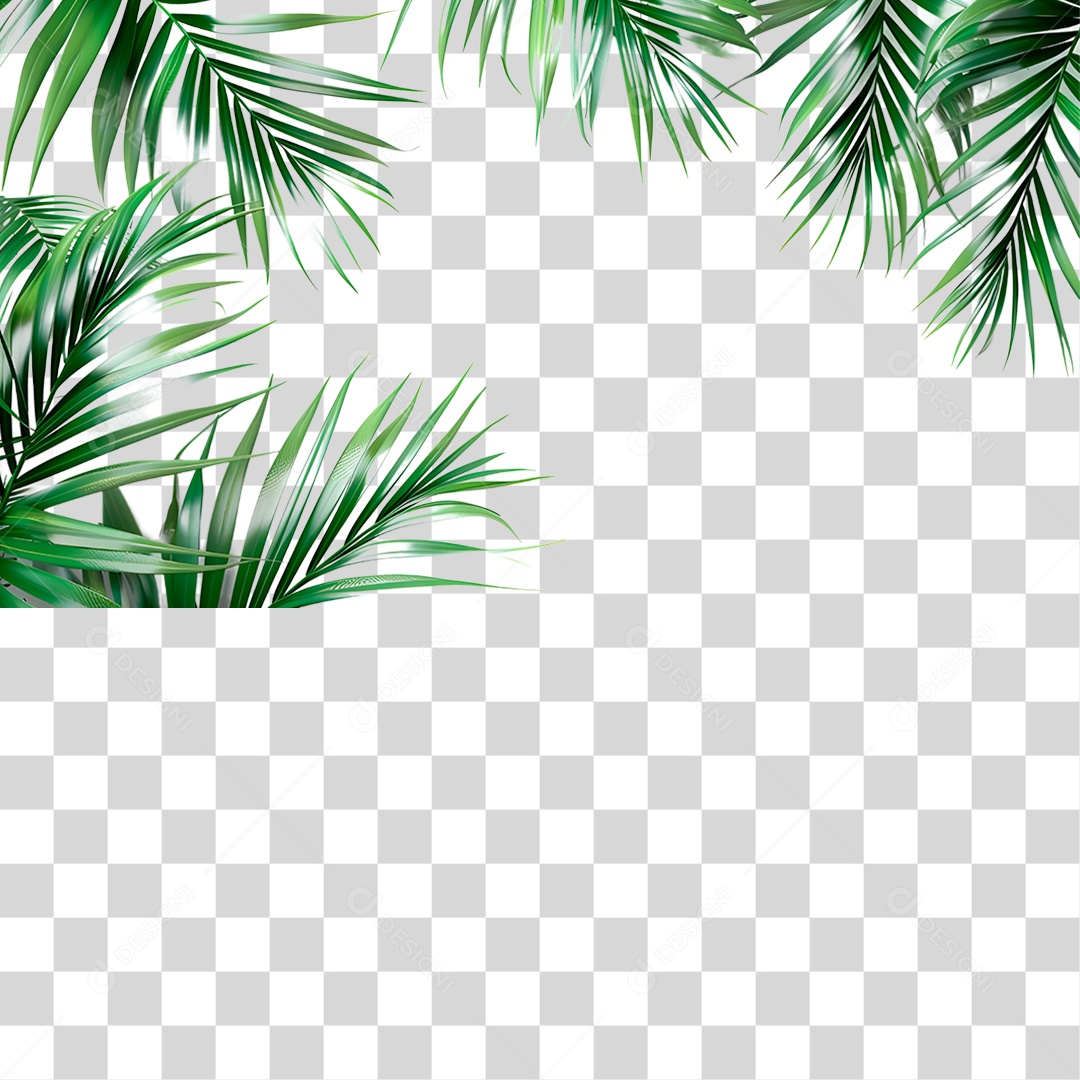 Folhas Verde PNG Transparente