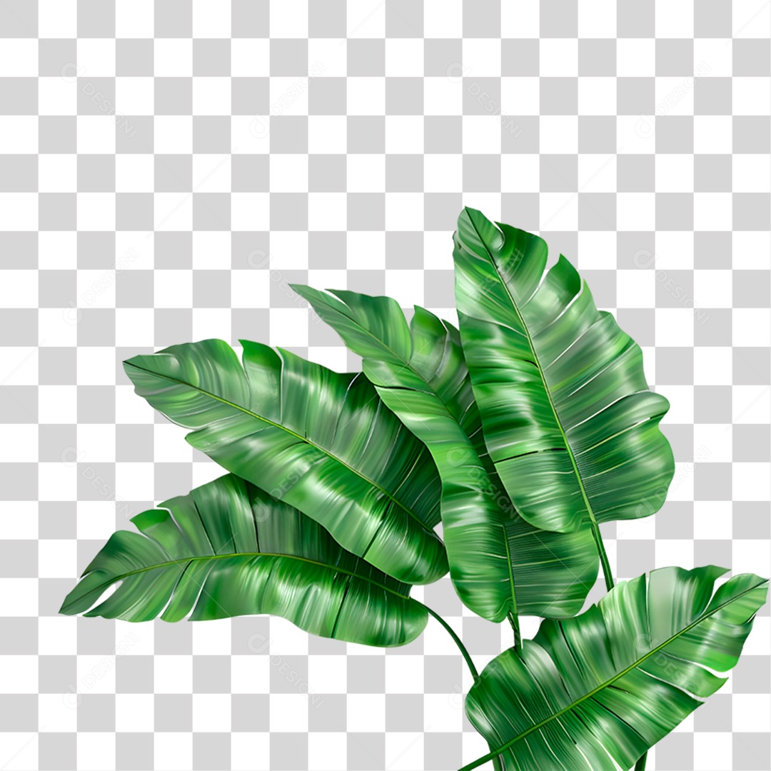 Folhas Verde PNG Transparente