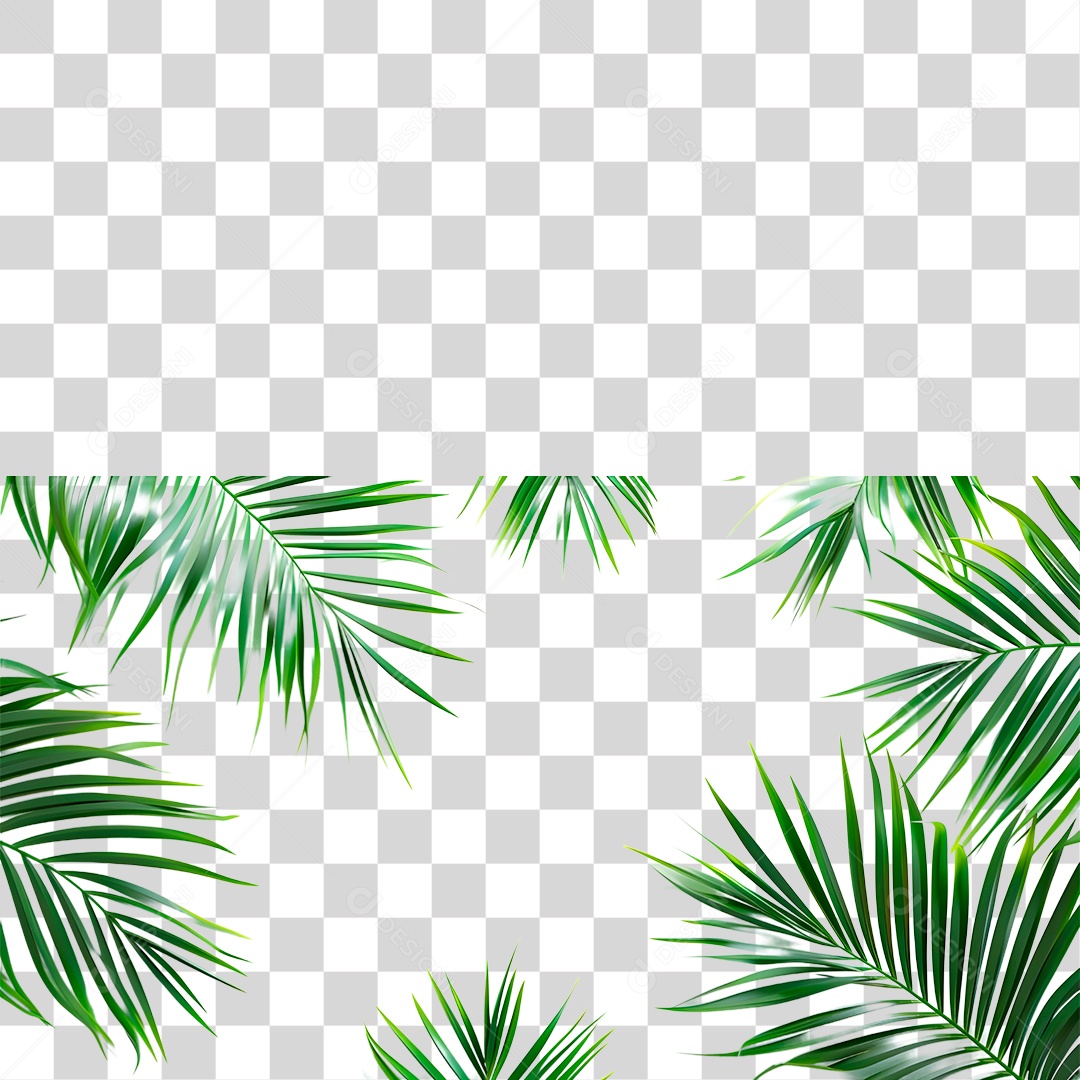 Folha Verde PNG Transparente