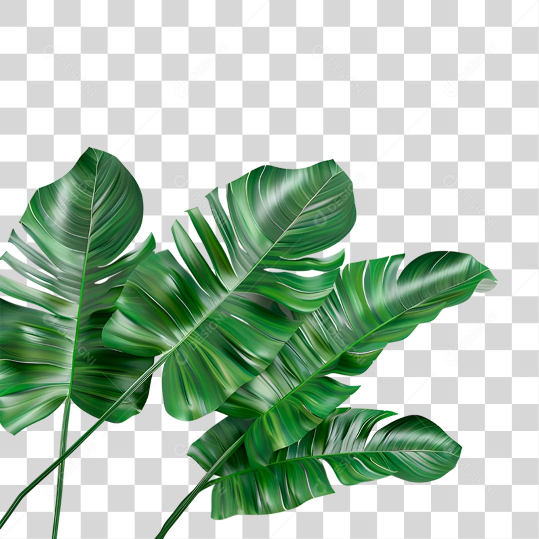 Folha Verde PNG Transparente