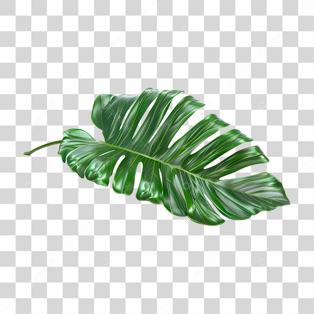 Folha Verde PNG Transparente