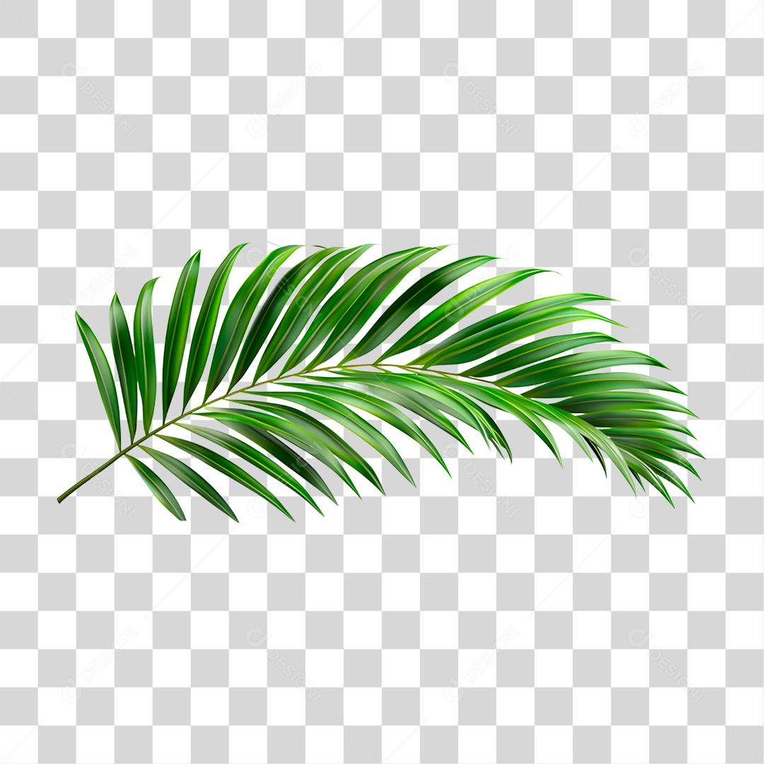 Folha Verde PNG Transparente