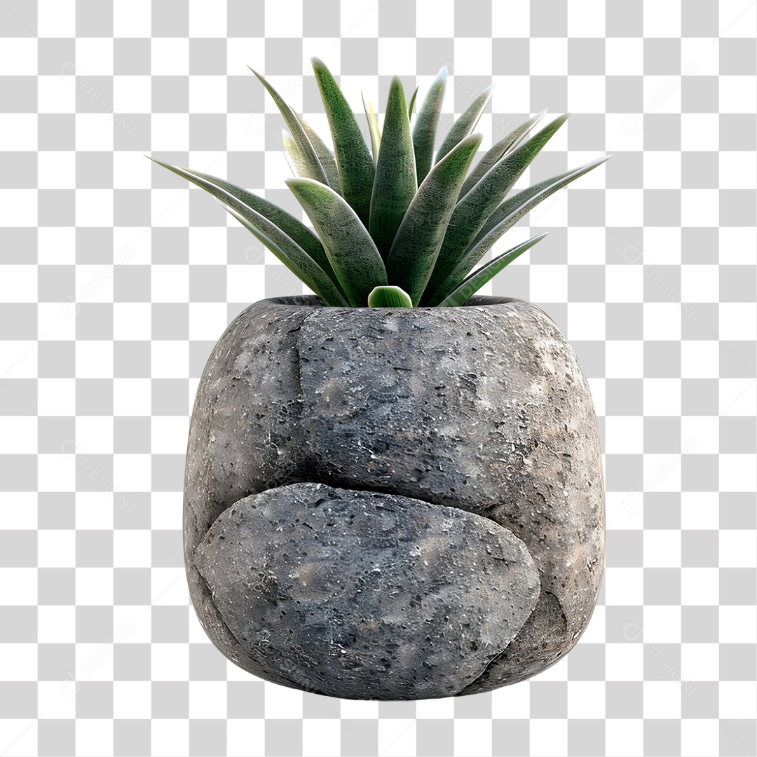 Planta no Vazo de Pedra PNG Transparente