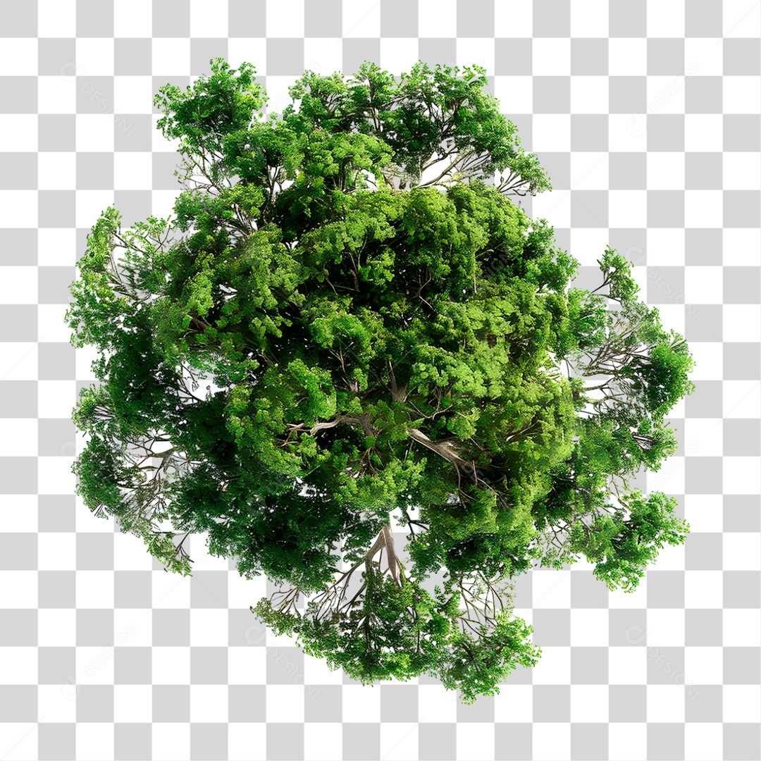 Árvore PNG Transparente