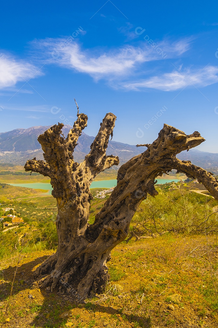 Bela vista da montanha e do reservatório de Viñuela em Málaga