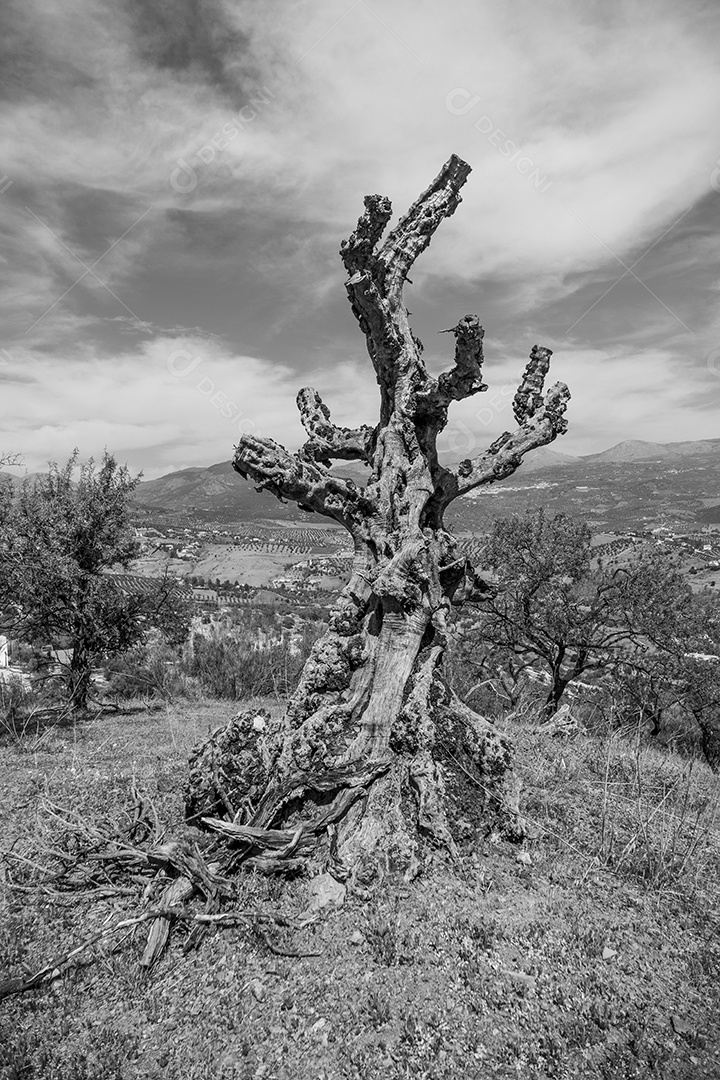 Bela vista da montanha e do reservatório de Viñuela em Málaga em preto e branco