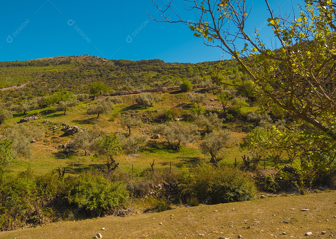 Bela vista da montanha e do reservatório de Viñuela em Málaga