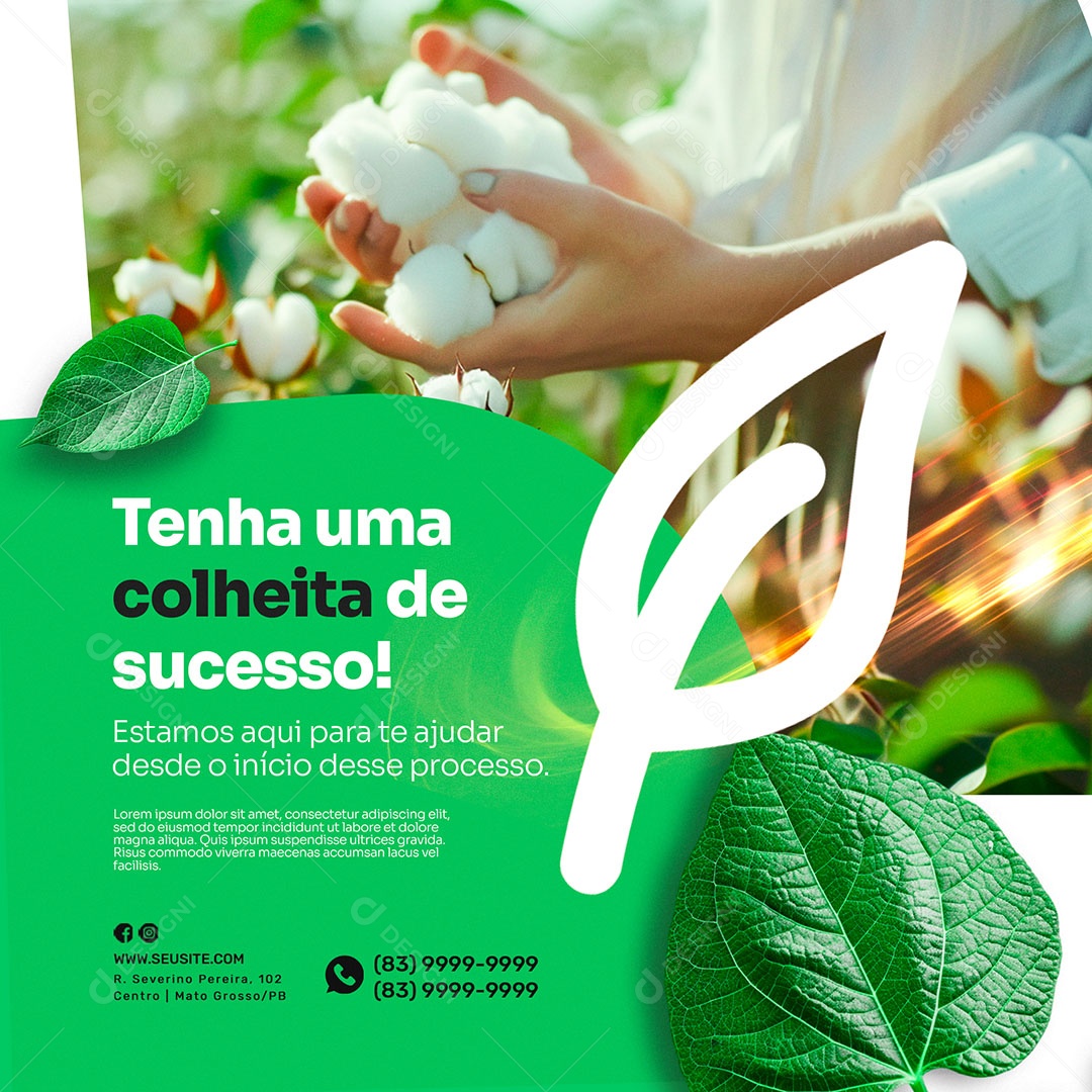 Agronegócio Tenha Uma Colheita de Sucesso Social Media PSD Editável