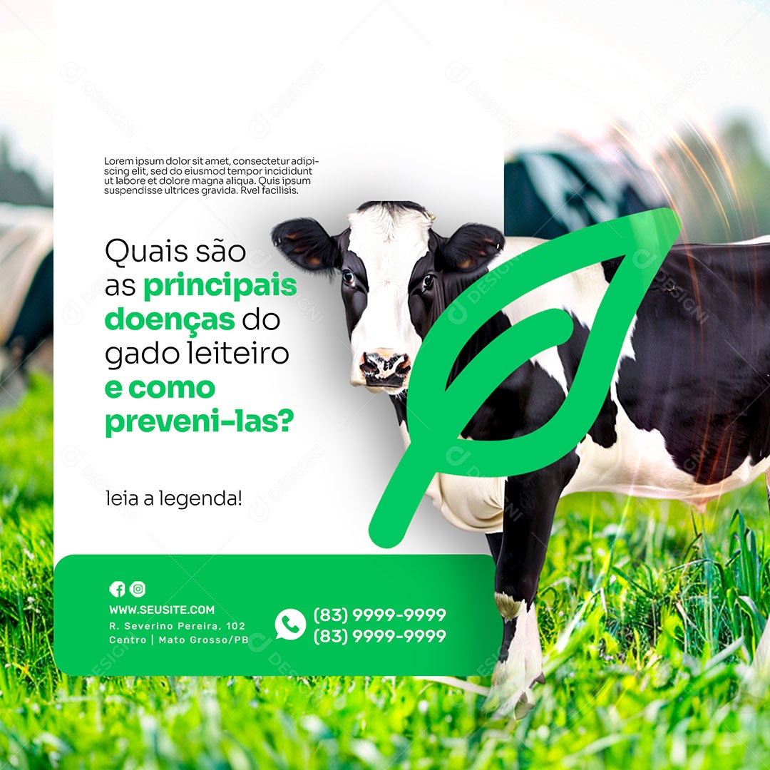 Agronegócio Social Media PSD Editável