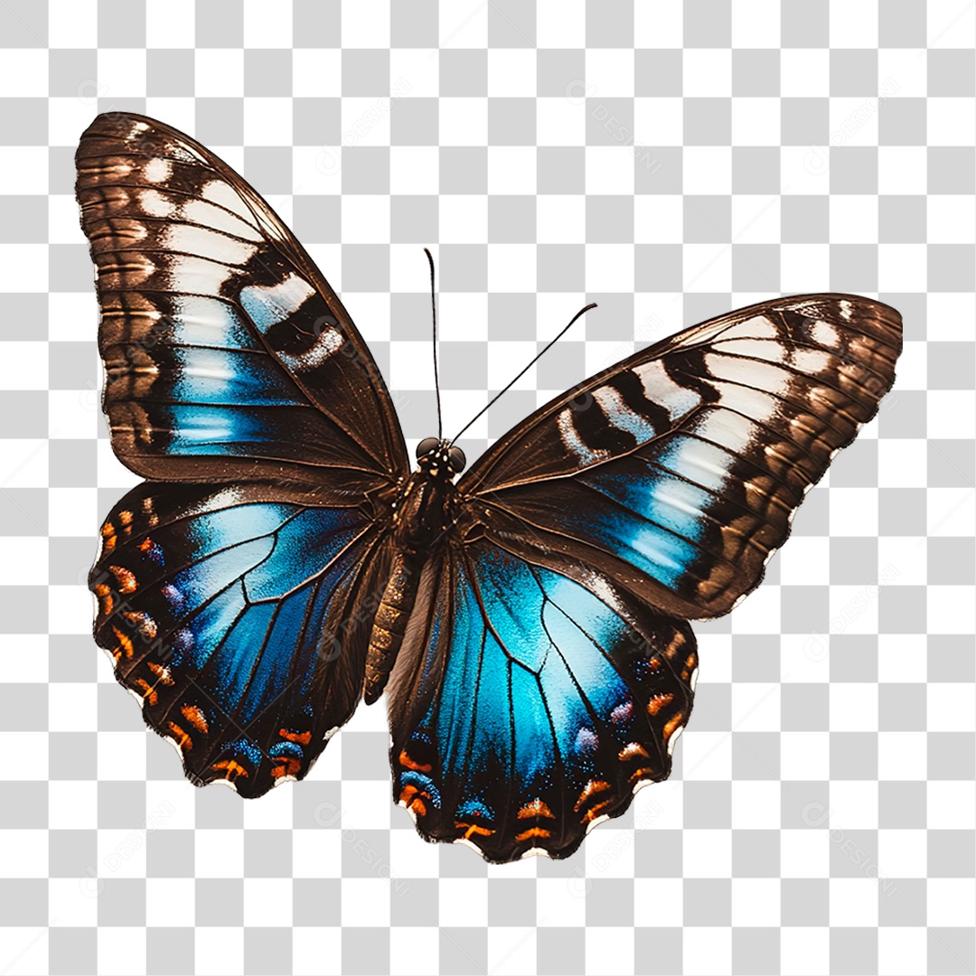 Elemento 3D Borboleta PNG Transparente