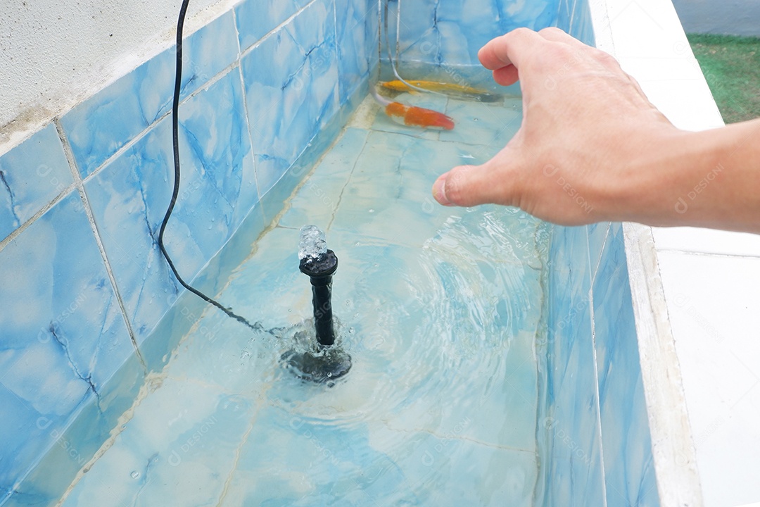 Mão de um homem faz um gesto de pegar um peixe koi em um lago de cimento