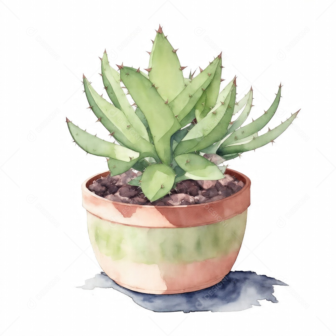 Planta língua de boi no vaso aquarela sobre fundo branco