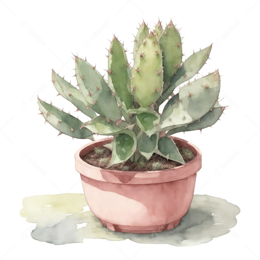 Planta língua de boi no vaso aquarela sobre fundo branco