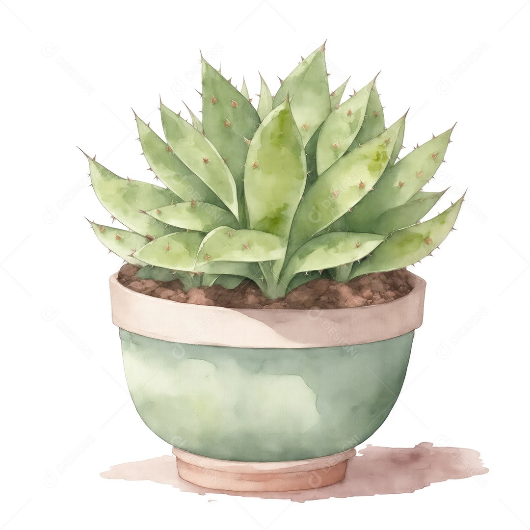 Planta língua de boi no vaso aquarela sobre fundo branco