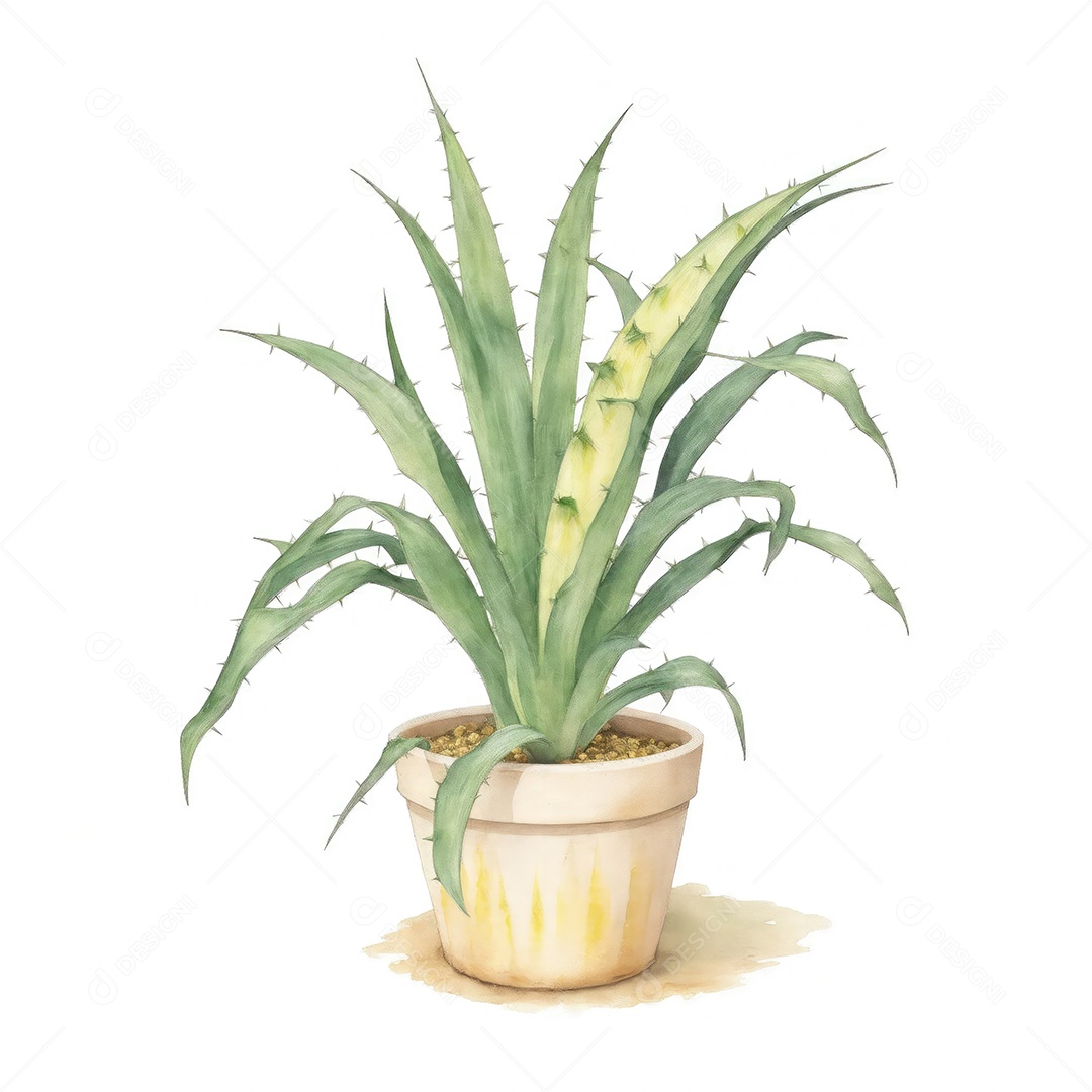 Planta de milho na panela aquarela sobre fundo branco