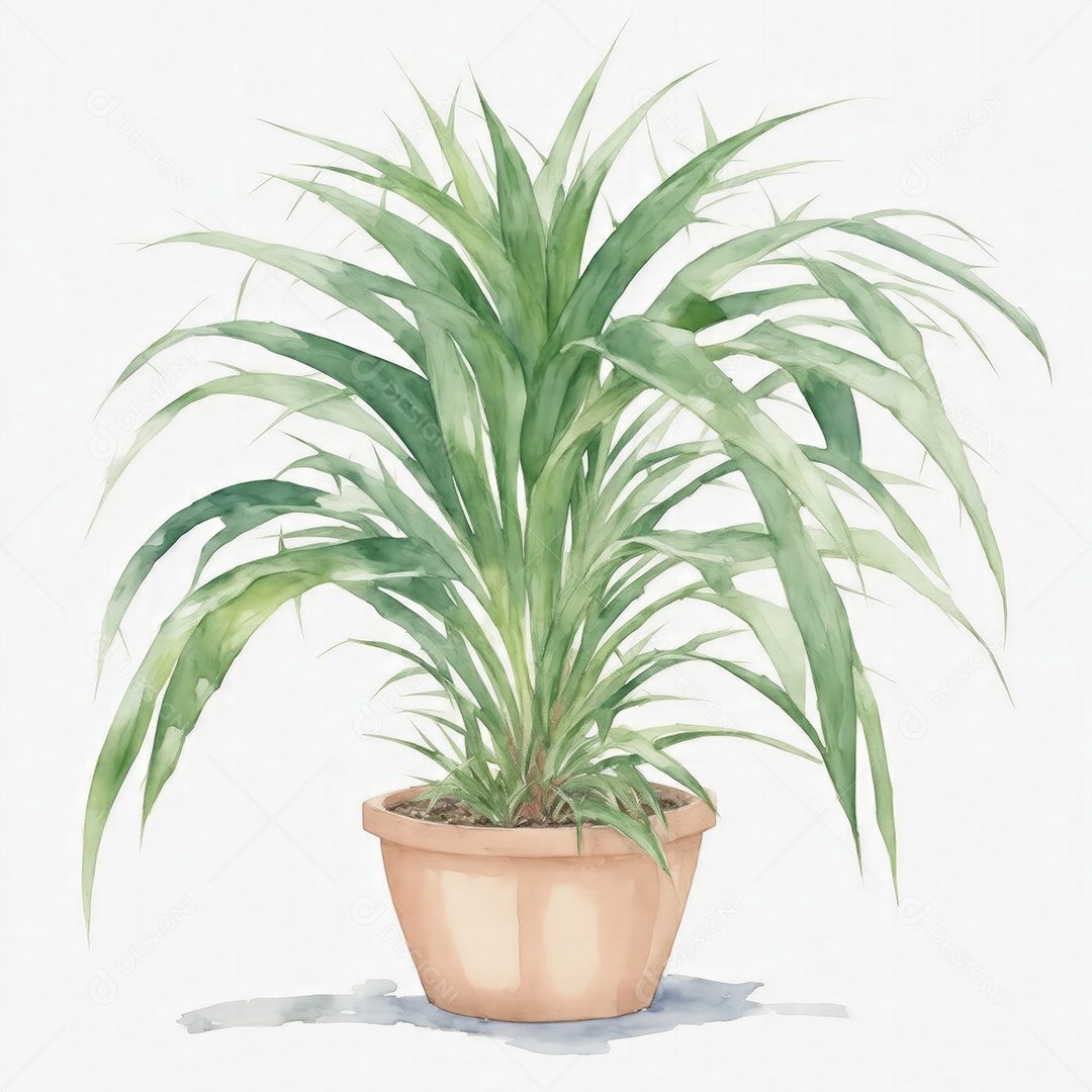 Planta Sagu Palm no vaso aquarela sobre fundo branco