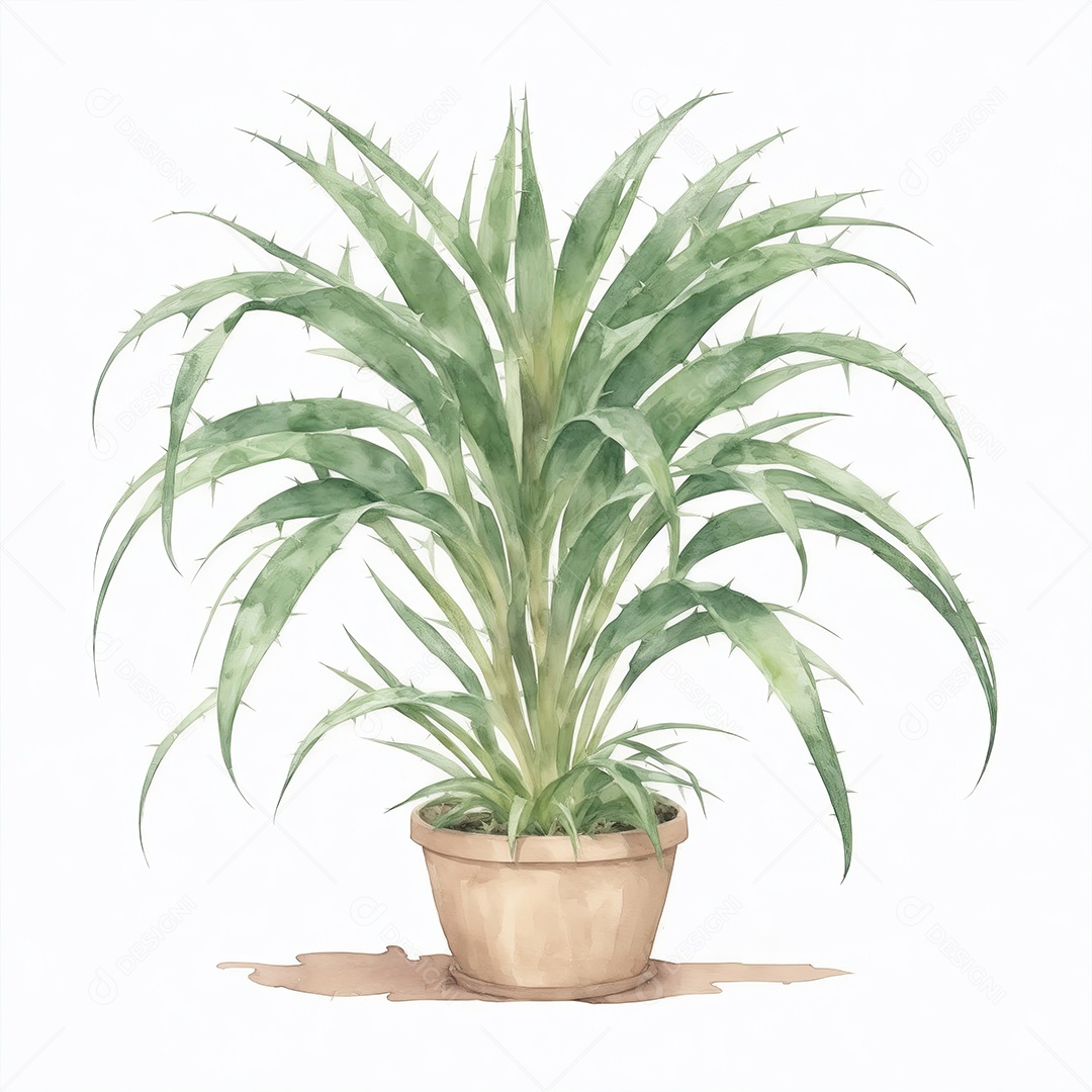 Planta Sagu Palm no vaso aquarela sobre fundo branco