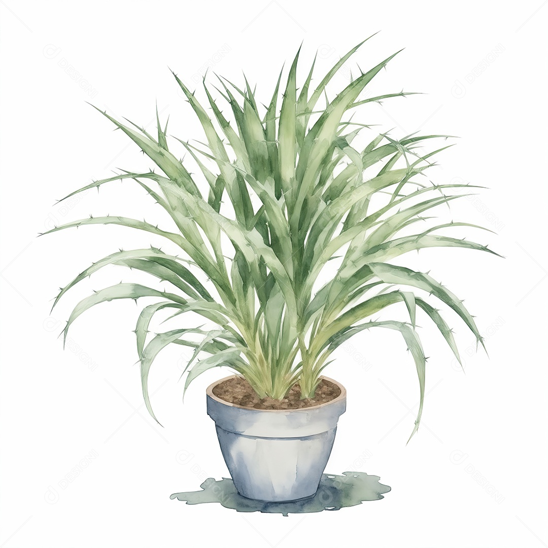 Planta Sagu Palm no vaso aquarela sobre fundo branco