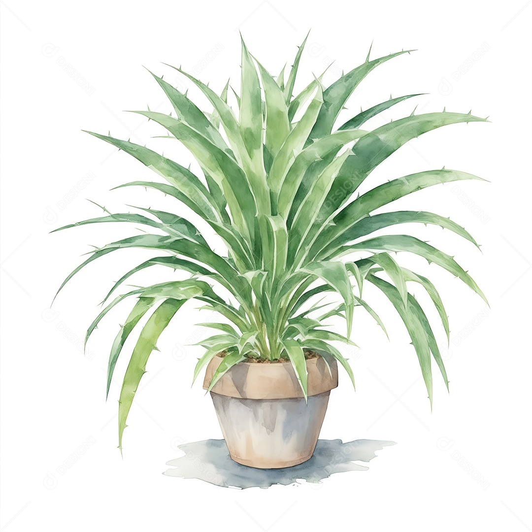 Planta Sagu Palm no vaso aquarela sobre fundo branco
