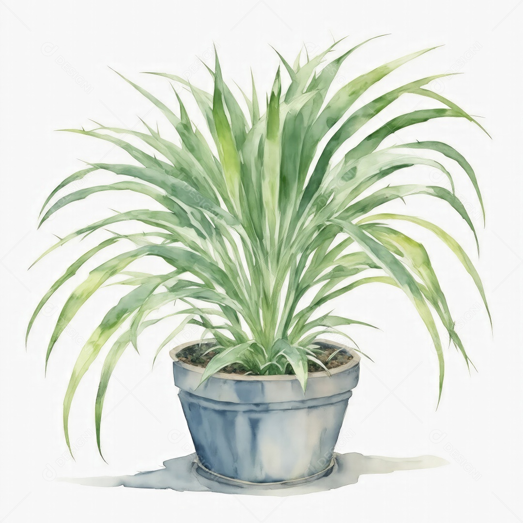 Planta Sagu Palm no vaso aquarela sobre fundo branco