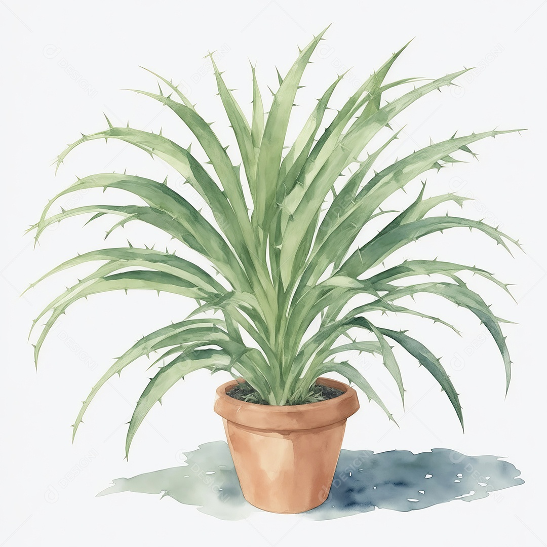 Planta Sagu Palm no vaso aquarela sobre fundo branco