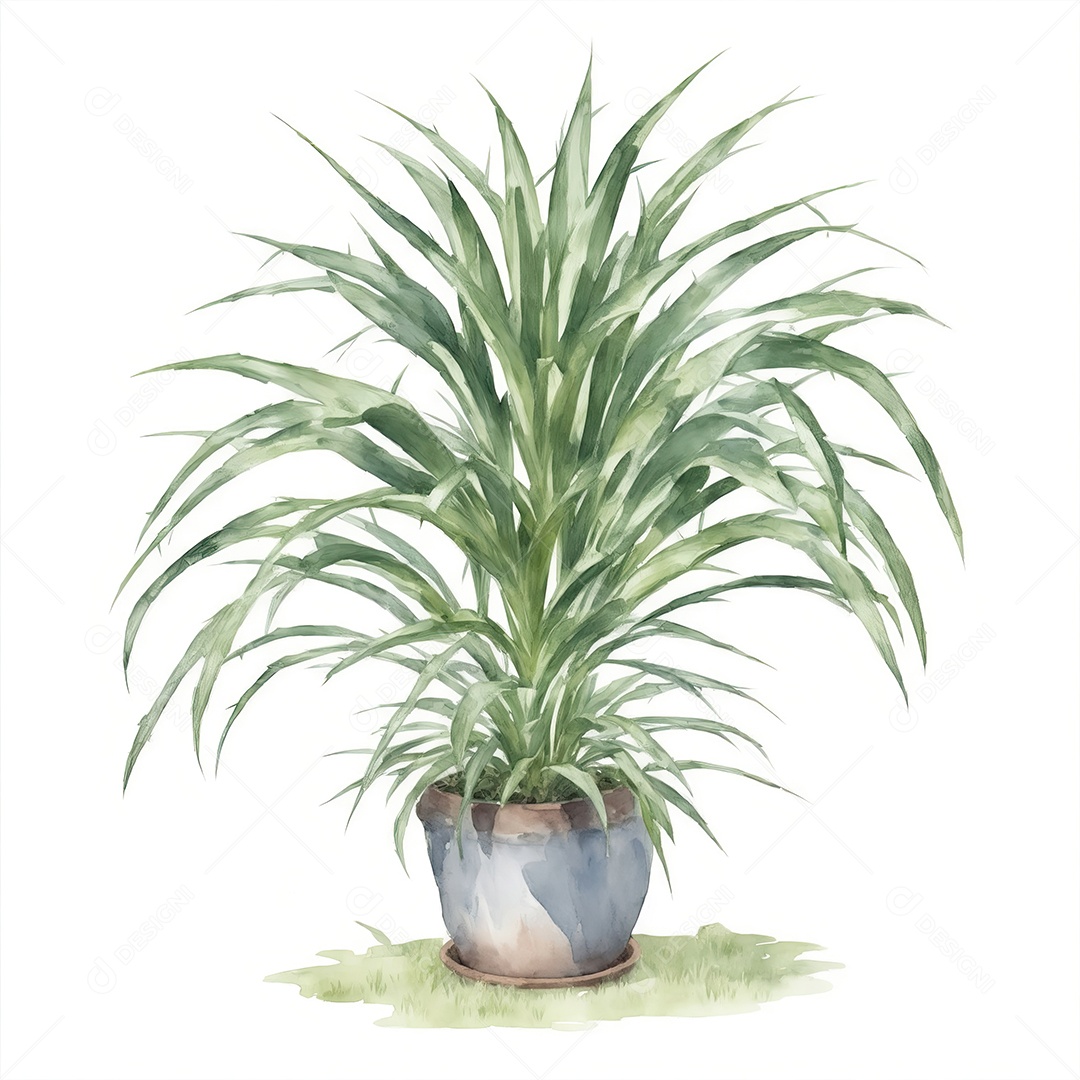 Planta Sagu Palm no vaso aquarela sobre fundo branco