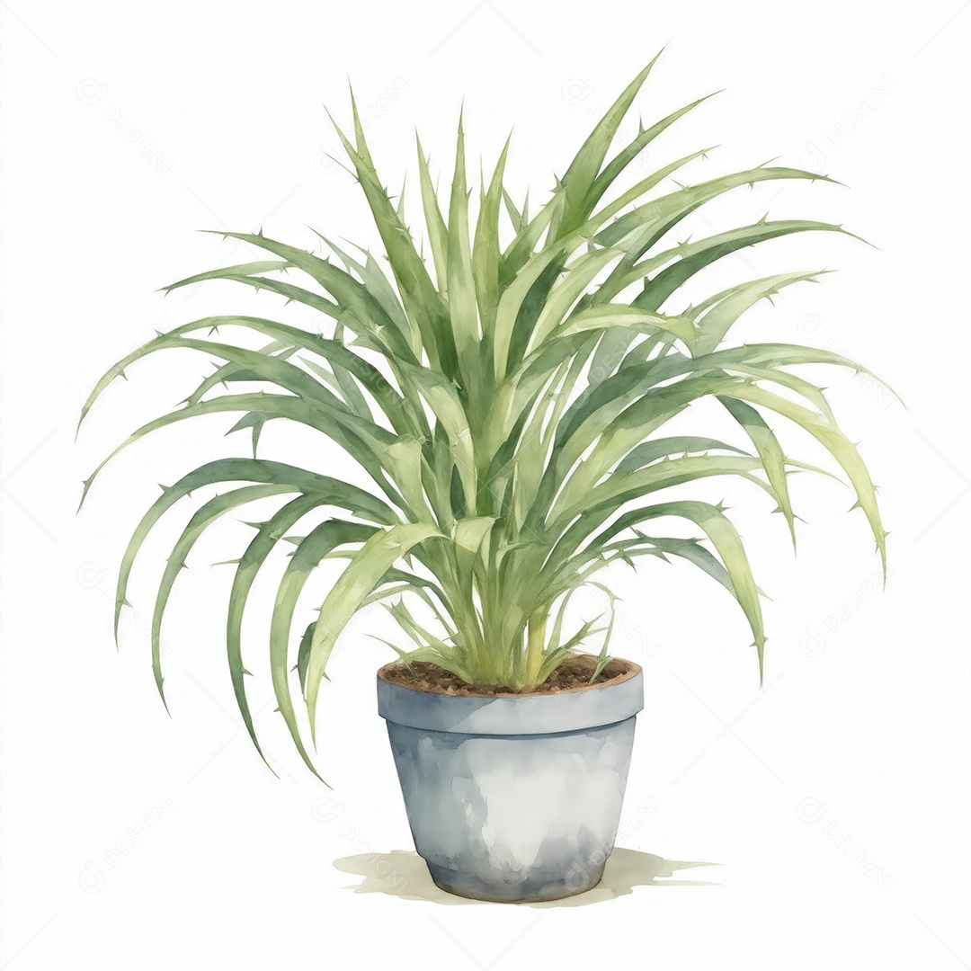 Planta Sagu Palm no vaso aquarela sobre fundo branco